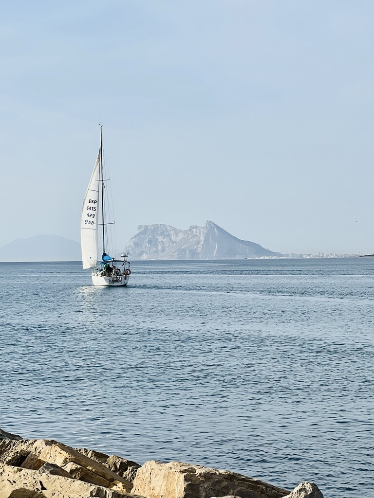 Meer